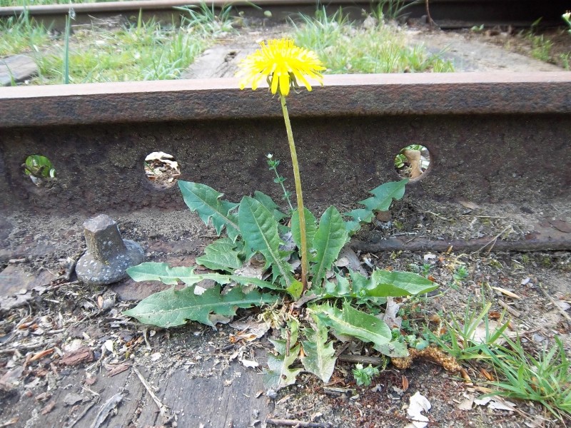 Bahnhof9